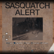 It’s unclear whether postings like these are just for fun or evidence Bigfoot is really in the game.